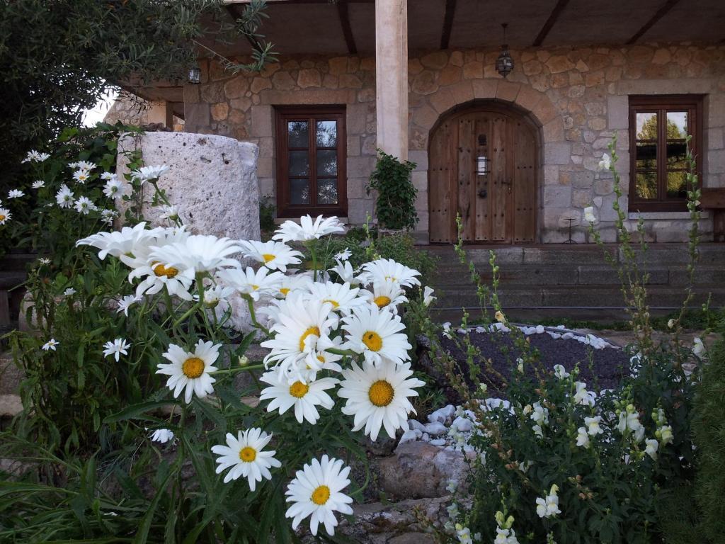 Hotel Rural San Pelayo San Pelayo  Eksteriør bilde